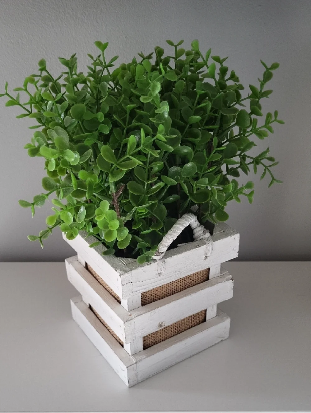 Green Faux Boxwood Plant in White Wooden Crate